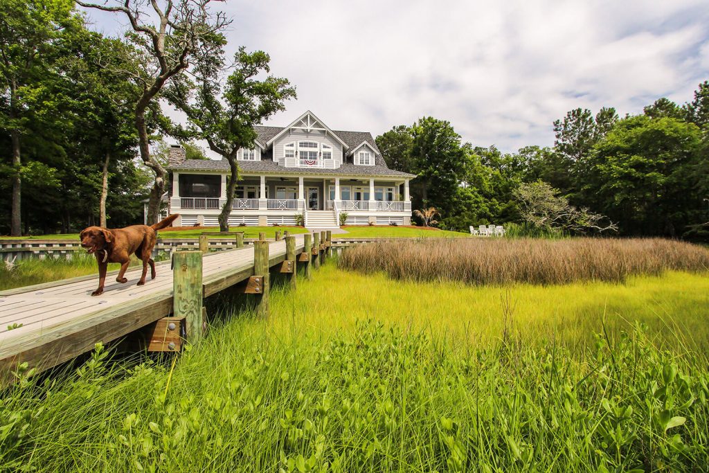 Luxury House Dog on Boardwalk